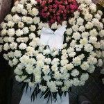 ΣΤΕΦΑΝΙΑ ΚΗΔΕΙΩΝ