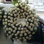 ΣΤΕΦΑΝΙΑ ΚΗΔΕΙΩΝ