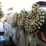 ΣΤΕΦΑΝΙΑ ΚΗΔΕΙΩΝ