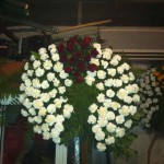 ΣΤΕΦΑΝΙΑ ΚΗΔΕΙΩΝ